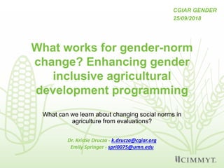 What works for gender norm change? Enhancing gender inclusive agricultural development programming