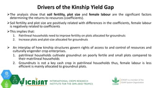 Tenacity of gender yield gaps in agricultural development: the case of smallholder groundnut productivity in Malawi