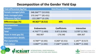 Tenacity of gender yield gaps in agricultural development: the case of smallholder groundnut productivity in Malawi