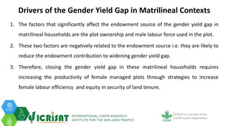 Tenacity of gender yield gaps in agricultural development: the case of smallholder groundnut productivity in Malawi