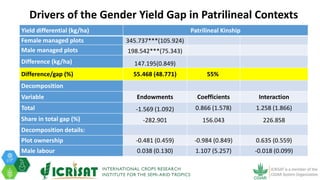 Tenacity of gender yield gaps in agricultural development: the case of smallholder groundnut productivity in Malawi