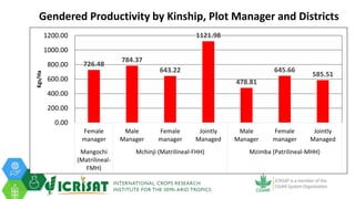 Tenacity of gender yield gaps in agricultural development: the case of smallholder groundnut productivity in Malawi