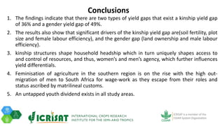 Tenacity of gender yield gaps in agricultural development: the case of smallholder groundnut productivity in Malawi