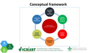 Tenacity of gender yield gaps in agricultural development: the case of smallholder groundnut productivity in Malawi