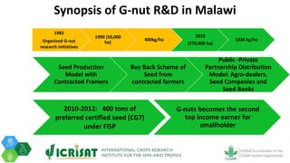 Tenacity of gender yield gaps in agricultural development: the case of smallholder groundnut productivity in Malawi