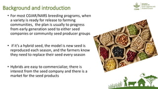 The potential of village cereal stockists in facilitating rural women's access to improved seed of non-hybrid legume seed in Eastern Kenya
