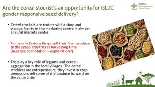 The potential of village cereal stockists in facilitating rural women's access to improved seed of non-hybrid legume seed in Eastern Kenya