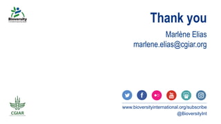 Gendered aspirations and occupation among rural youth in agriculture and beyond: a cross-regional perspective