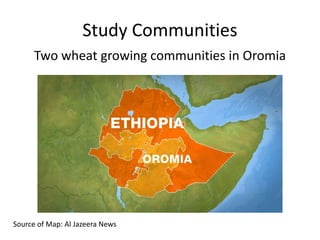 Study Communities
Two wheat growing communities in Oromia
Source of Map: Al Jazeera News
 