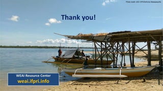 Measuring empowerment in the abaca, coconut, seaweed and swine value chains in the Philippines