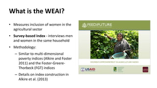 Measuring empowerment in the abaca, coconut, seaweed and swine value chains in the Philippines