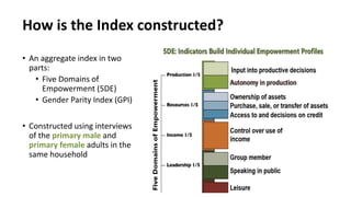 Measuring empowerment in the abaca, coconut, seaweed and swine value chains in the Philippines