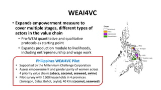 Measuring empowerment in the abaca, coconut, seaweed and swine value chains in the Philippines