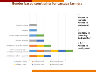 Validating gender in value chains tools: the case of the PMCA