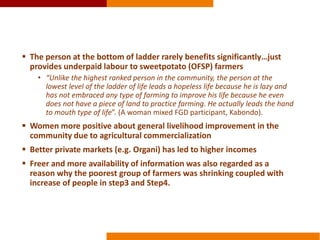 The effects of sweetpotato commercialization on men and women producers and traders in Homa bay and Bungoma, Kenya