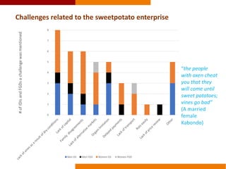 The effects of sweetpotato commercialization on men and women producers and traders in Homa bay and Bungoma, Kenya