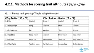 Gendered selection trait preferences for farmed fish in Egypt