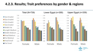 Gendered selection trait preferences for farmed fish in Egypt