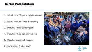 Gendered selection trait preferences for farmed fish in Egypt