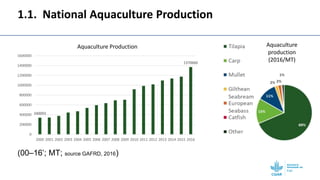 Gendered selection trait preferences for farmed fish in Egypt