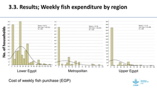 Gendered selection trait preferences for farmed fish in Egypt