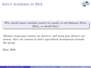 Can agricultural subsidies reduce gendered productivity gaps? Panel data evidence from Zambia