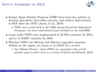 Can agricultural subsidies reduce gendered productivity gaps? Panel data evidence from Zambia