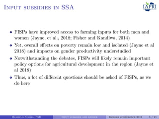 Can agricultural subsidies reduce gendered productivity gaps? Panel data evidence from Zambia