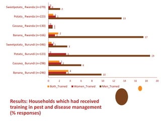 The role of women in production and management of RTB crops in Rwanda and Burundi: Do men decide and women work?