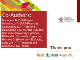 The role of women in production and management of RTB crops in Rwanda and Burundi: Do men decide and women work?