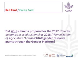 System-wide gender research agenda. CGIAR Collaborative Platform for Gender Research