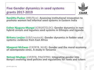 System-wide gender research agenda. CGIAR Collaborative Platform for Gender Research