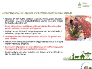 System-wide gender research agenda. CGIAR Collaborative Platform for Gender Research