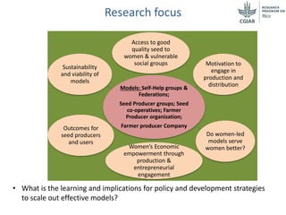 System-wide gender research agenda. CGIAR Collaborative Platform for Gender Research