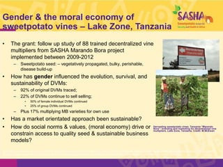 System-wide gender research agenda. CGIAR Collaborative Platform for Gender Research