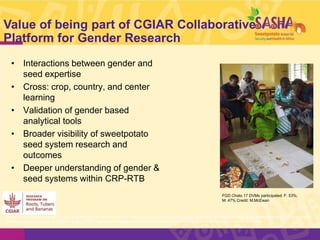 System-wide gender research agenda. CGIAR Collaborative Platform for Gender Research