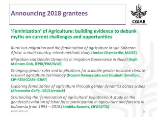 System-wide gender research agenda. CGIAR Collaborative Platform for Gender Research