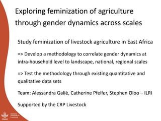 System-wide gender research agenda. CGIAR Collaborative Platform for Gender Research
