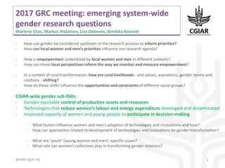 System-wide gender research agenda. CGIAR Collaborative Platform for Gender Research
