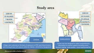 Unpacking social dynamics of stress tolerant rice variety (STRV) seed systems