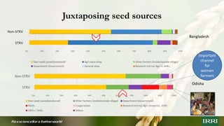 Unpacking social dynamics of stress tolerant rice variety (STRV) seed systems