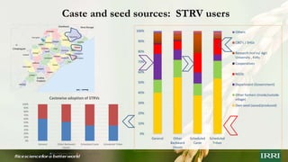 Unpacking social dynamics of stress tolerant rice variety (STRV) seed systems