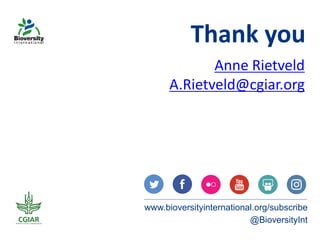 Bridging gender and youth studies - Learning from rural young women and men in central Uganda