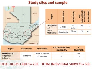 Exploring the links between household time and food choices in Guatemala