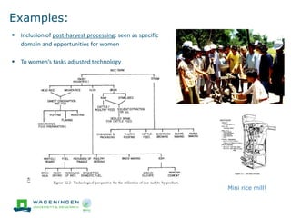 'Change in the making': Building on the past gender trends in CGIAR agricultural research
