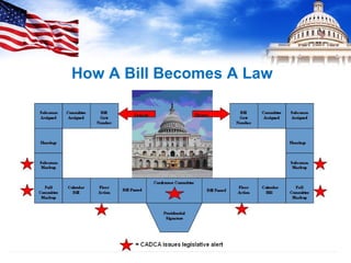 How A Bill Becomes A Law
 