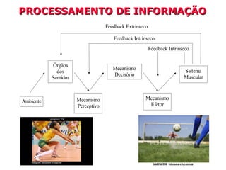 PROCESSAMENTO DE INFORMAÇÃOPROCESSAMENTO DE INFORMAÇÃO
Ambiente
Órgãos
dos
Sentidos
Mecanismo
Perceptivo
Mecanismo
Decisório
Mecanismo
Efetor
Sistema
Muscular
Feedback Extrínseco
Feedback Intrínseco
Feedback Intrínseco
 