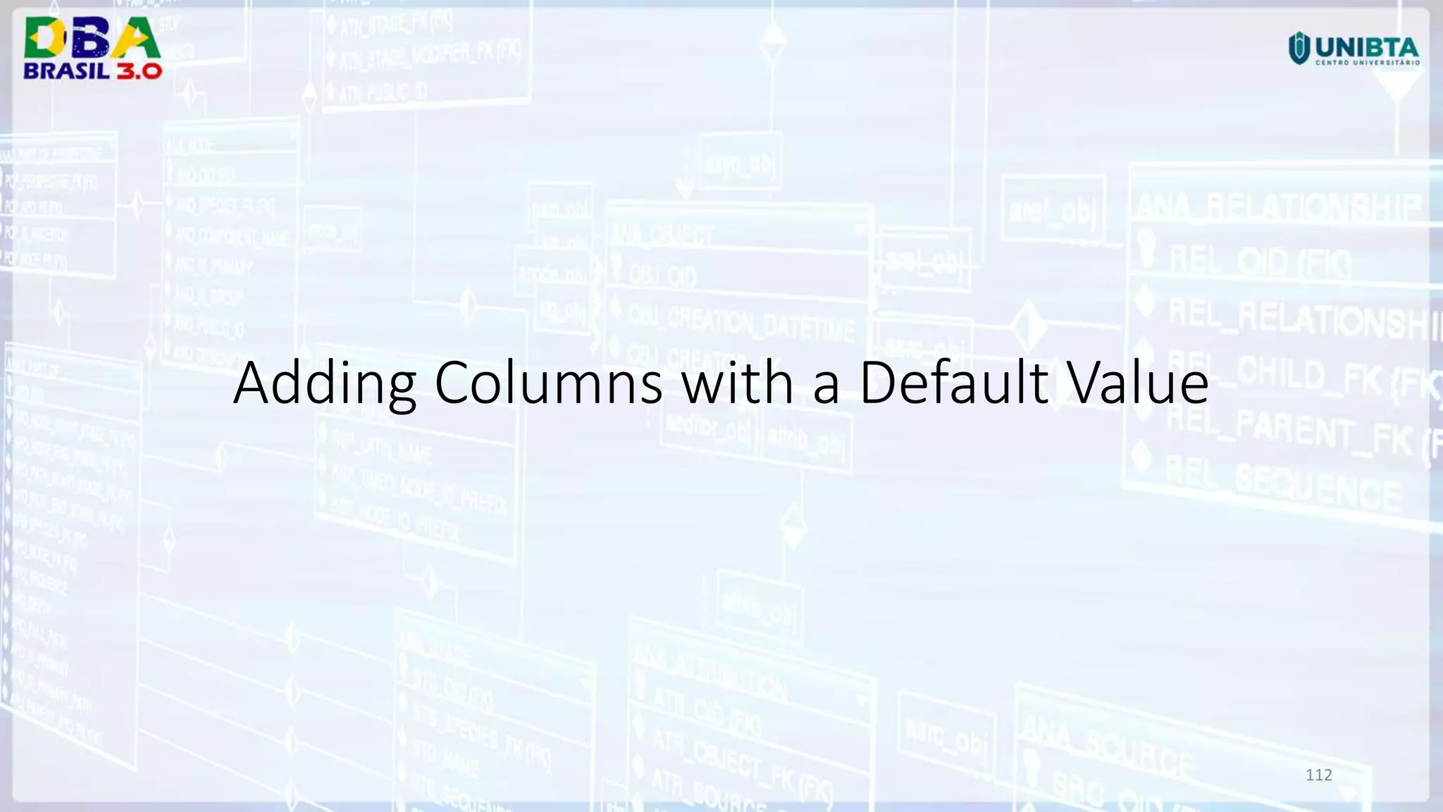 112 Adding Columns with a Default Value 