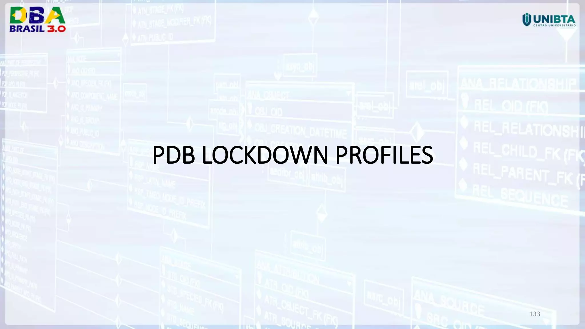 133 PDB LOCKDOWN PROFILES 