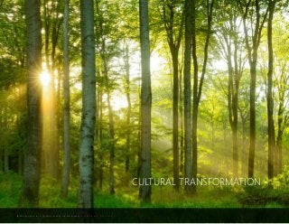 B U I L D I N G A L I V I N G A N D L E A R N I N G C O M P A N Y C U L T U R E
CULTURAL TRANSFORMATION
 